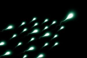 Highlighted blobs depicting sperm on a black background
