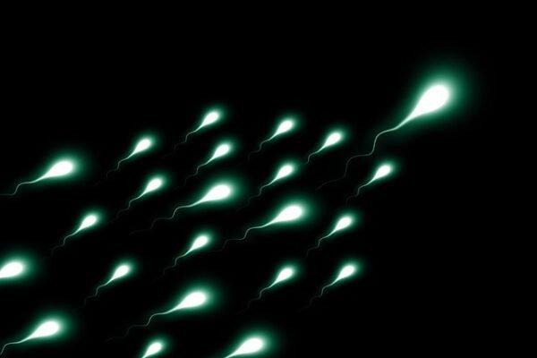 Highlighted blobs depicting sperm on a black background