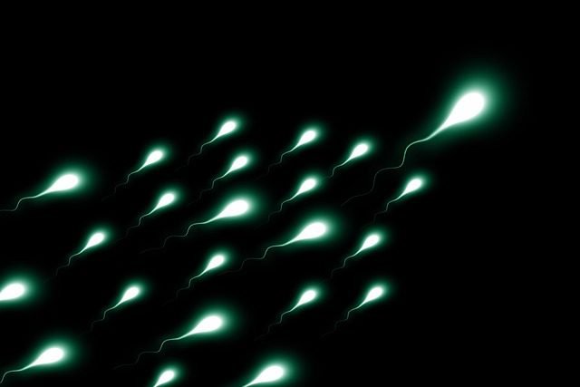 Highlighted blobs depicting sperm on a black background