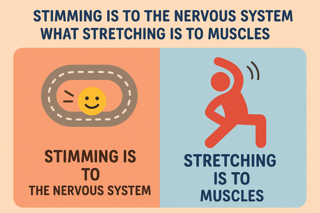 A simple infographic showing “stimming is to the nervous system what stretching is to muscles