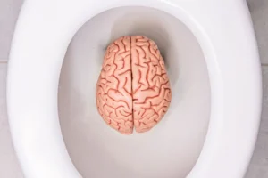 An image of a brain in the toilet