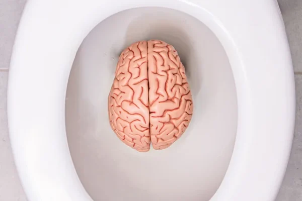 An image of a brain in the toilet