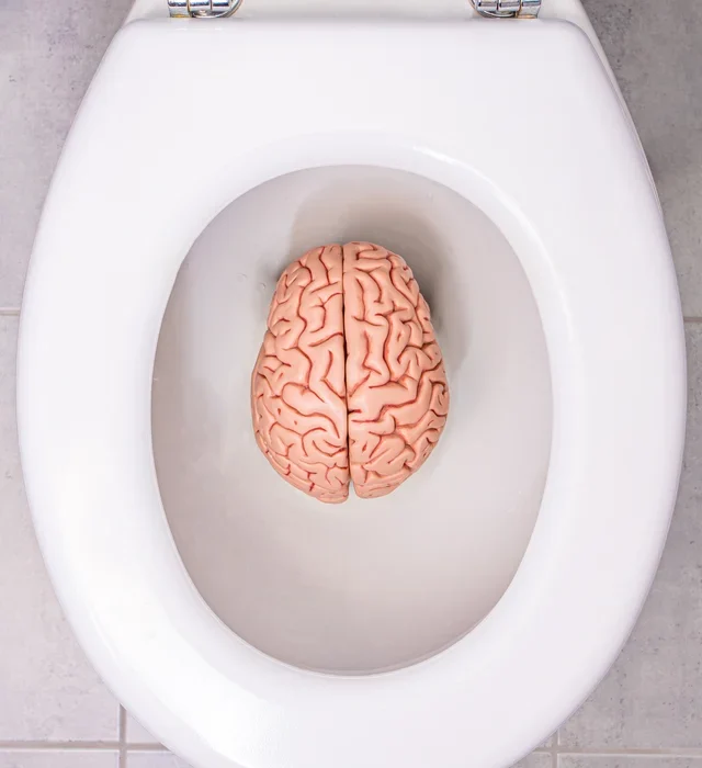 An image of a brain in the toilet